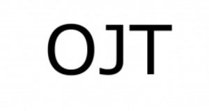 Read more about the article OJT Internship